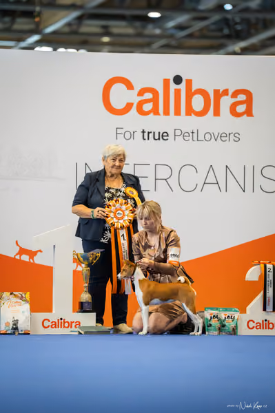 INTERCANIS Brno – FCI 5 Junior