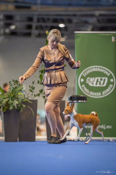 INTERCANIS Brno – FCI 5 Junior