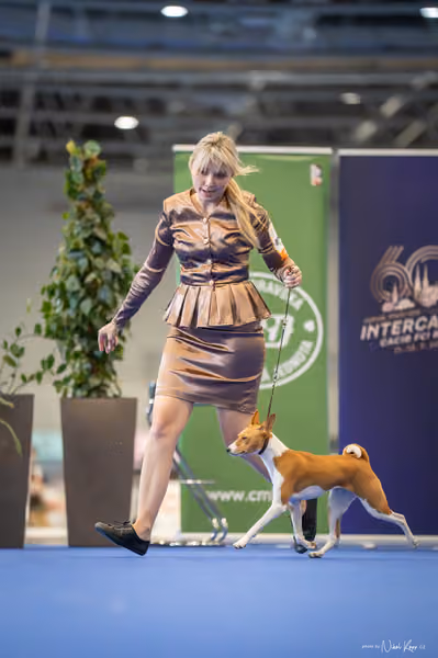 INTERCANIS Brno – FCI 5 Junior