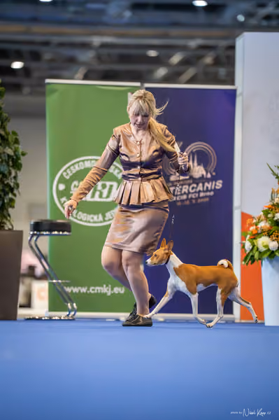 INTERCANIS Brno – FCI 5 Junior