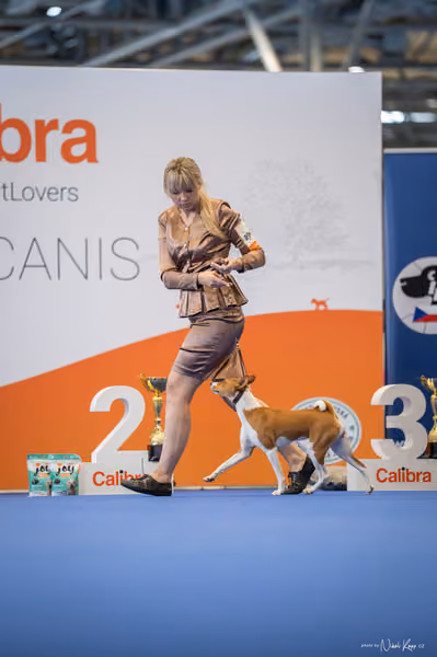 INTERCANIS Brno – FCI 5 Junior