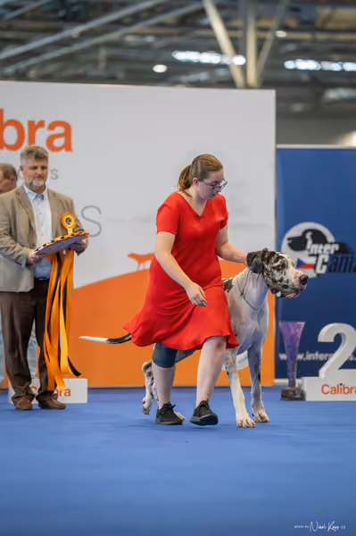 INTERCANIS Brno – BIS