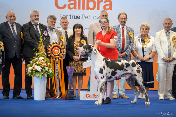 INTERCANIS Brno – BIS
