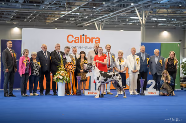 INTERCANIS Brno – BIS