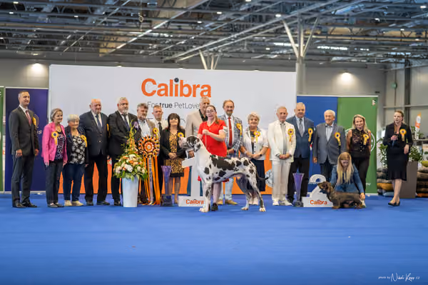 INTERCANIS Brno – BIS