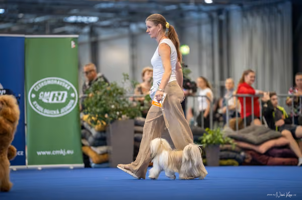 INTERCANIS Brno – FCI 9 Junior