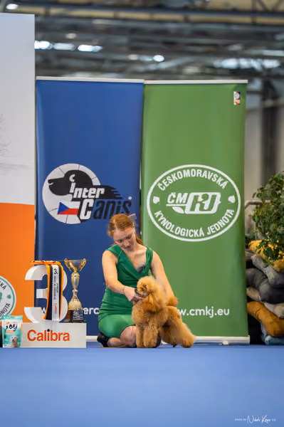 INTERCANIS Brno – FCI 9 Junior