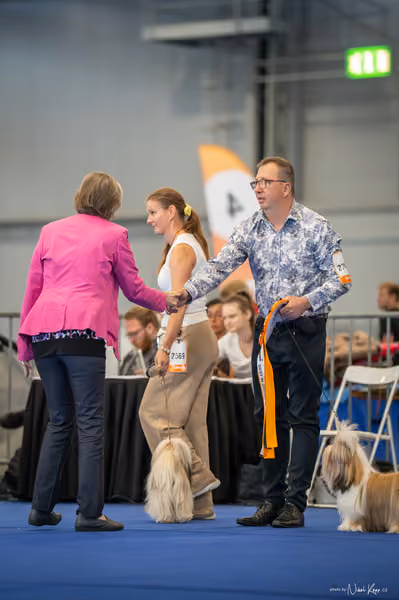 INTERCANIS Brno – FCI 9 Junior