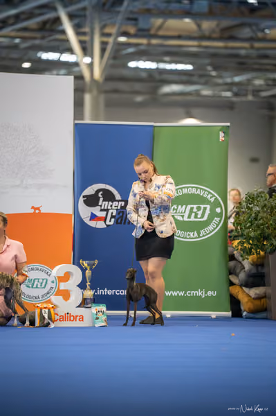 INTERCANIS Brno – FCI 10 Junior