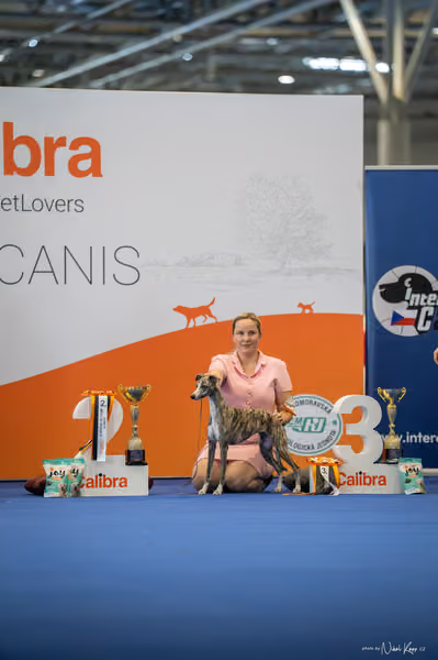 INTERCANIS Brno – FCI 10 Junior