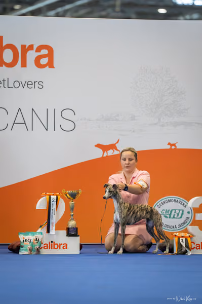 INTERCANIS Brno – FCI 10 Junior
