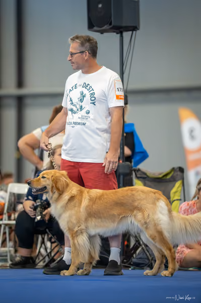 INTERCANIS Brno – FCI 2 Junior