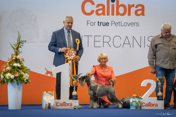 INTERCANIS Brno – FCI 2 Junior