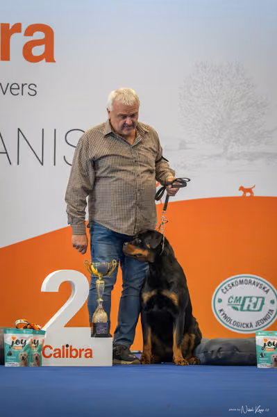 INTERCANIS Brno – FCI 2 Junior