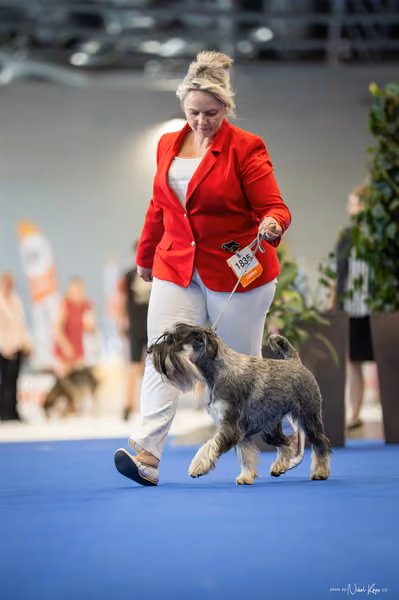 INTERCANIS Brno – FCI 2