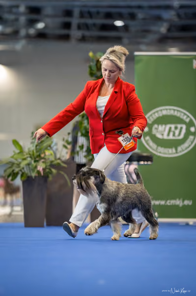INTERCANIS Brno – FCI 2