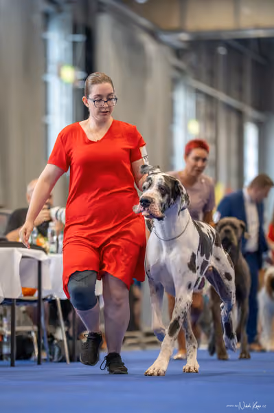 INTERCANIS Brno – FCI 2