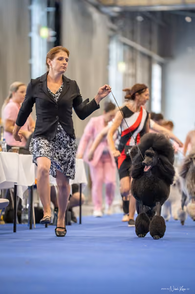 INTERCANIS Brno – FCI 9