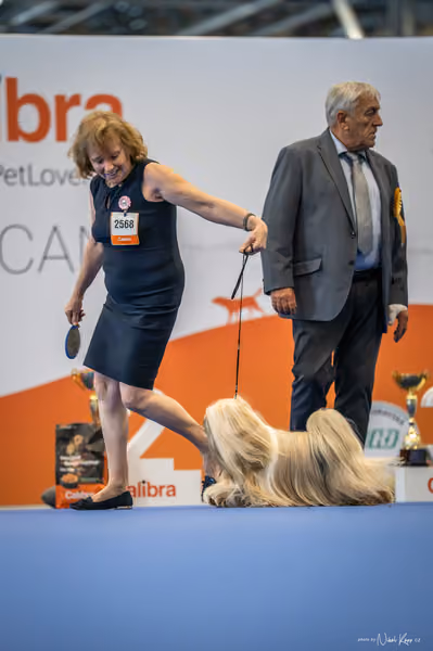 INTERCANIS Brno – FCI 9