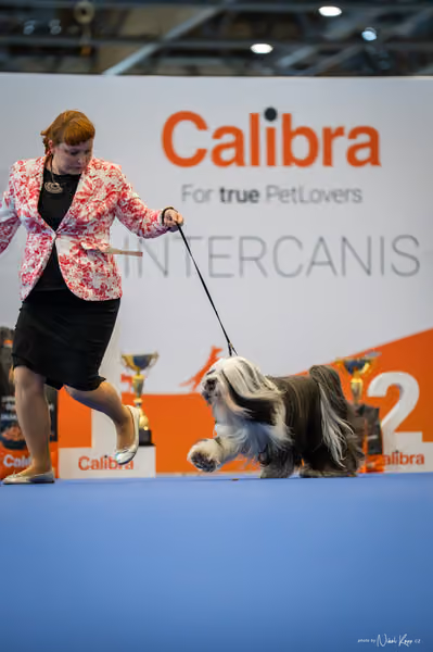 INTERCANIS Brno – FCI 9