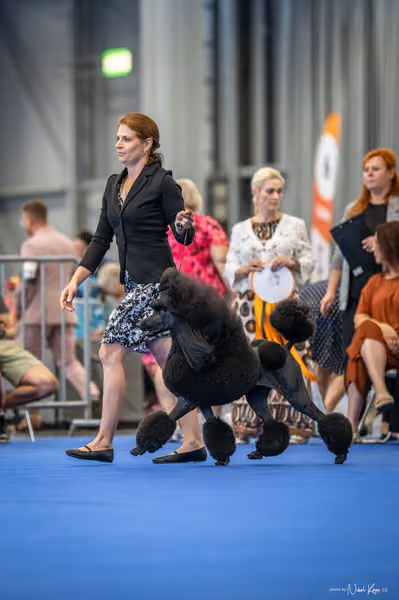 INTERCANIS Brno – FCI 9