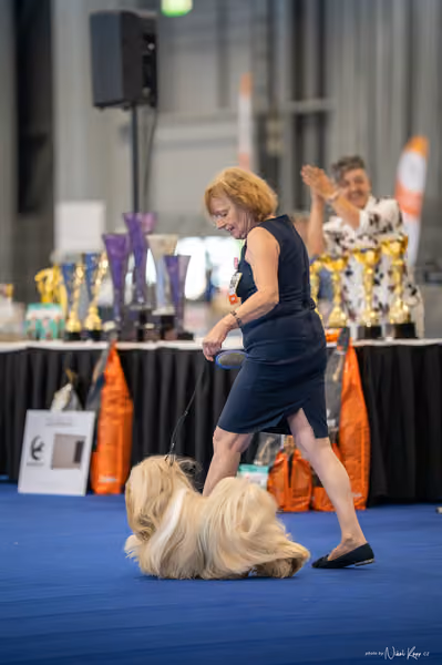 INTERCANIS Brno – FCI 9