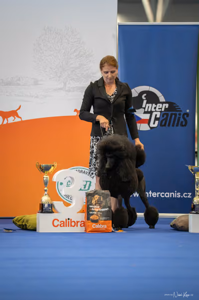 INTERCANIS Brno – FCI 9