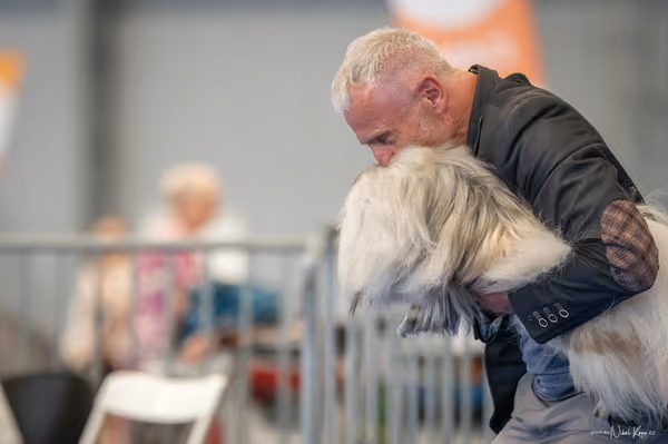 INTERCANIS Brno – FCI 9
