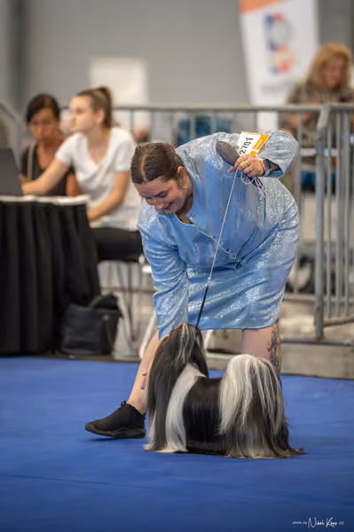 INTERCANIS Brno – FCI 9