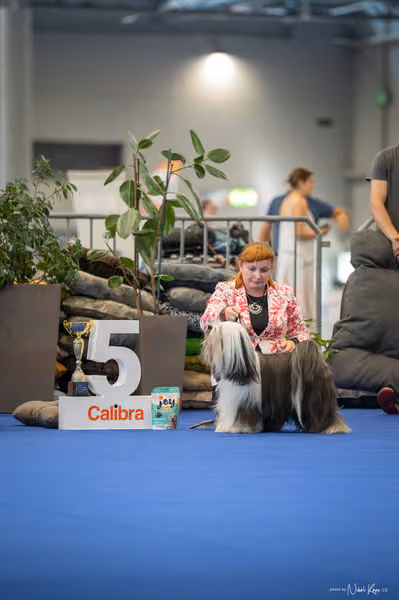 INTERCANIS Brno – FCI 9