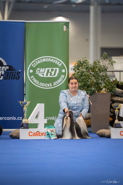 INTERCANIS Brno – FCI 9