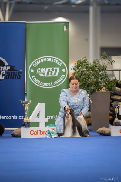 INTERCANIS Brno – FCI 9