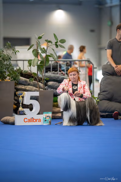 INTERCANIS Brno – FCI 9