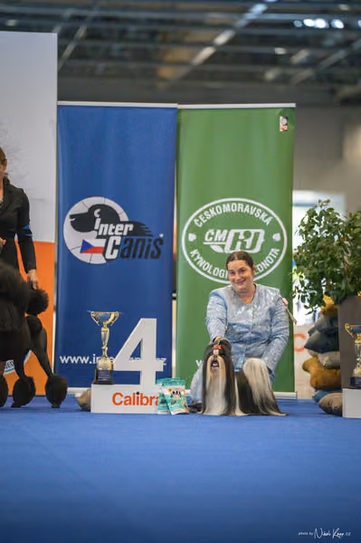 INTERCANIS Brno – FCI 9