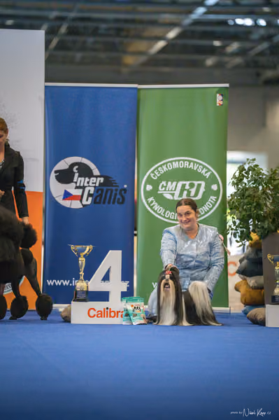 INTERCANIS Brno – FCI 9