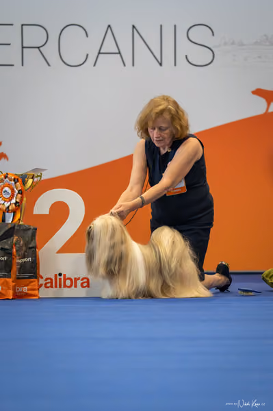 INTERCANIS Brno – FCI 9