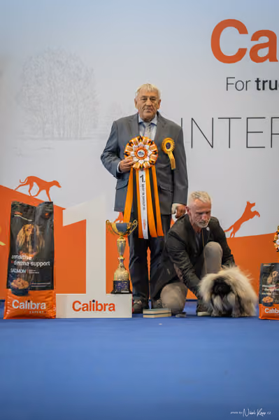 INTERCANIS Brno – FCI 9