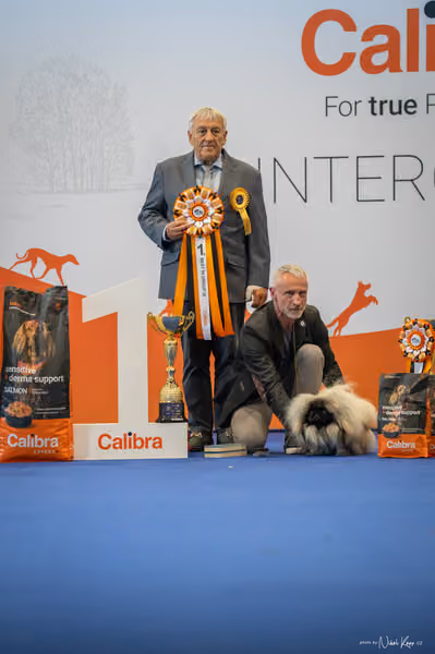 INTERCANIS Brno – FCI 9