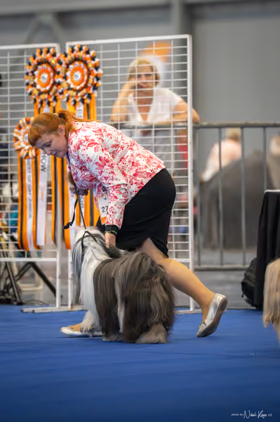 INTERCANIS Brno – FCI 9
