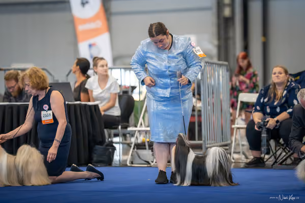 INTERCANIS Brno – FCI 9