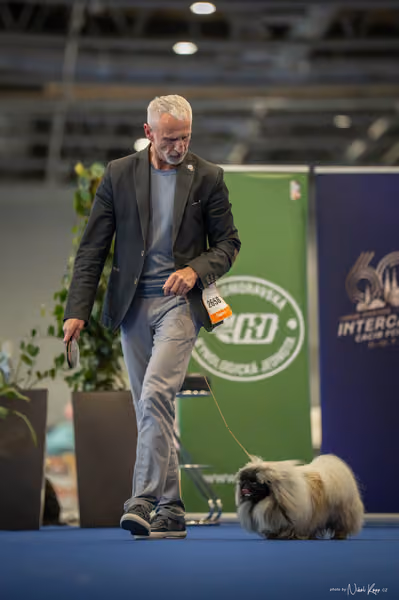 INTERCANIS Brno – FCI 9