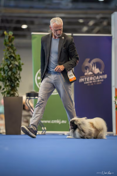 INTERCANIS Brno – FCI 9