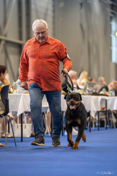 INTERCANIS Brno – FCI 2
