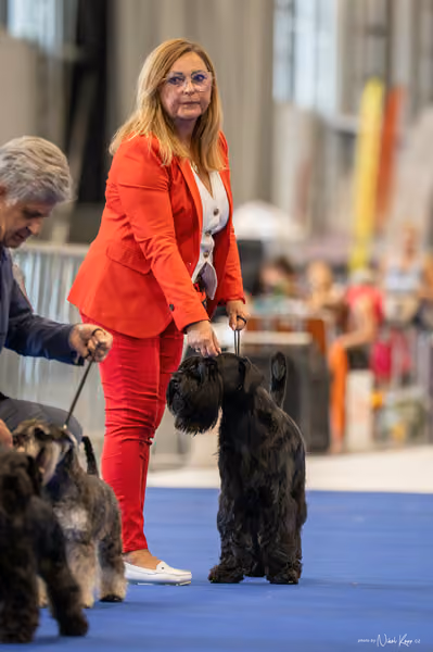 INTERCANIS Brno – FCI 2