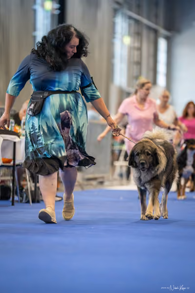 INTERCANIS Brno – FCI 2