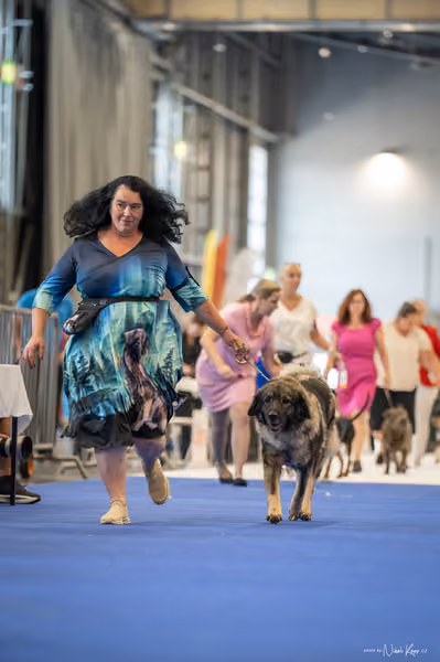 INTERCANIS Brno – FCI 2