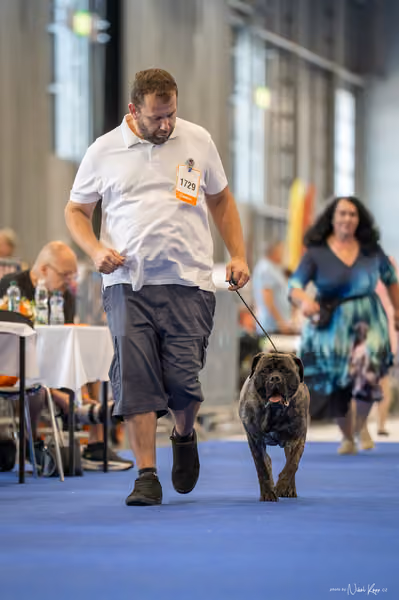 INTERCANIS Brno – FCI 2