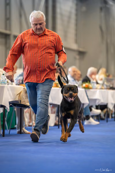 INTERCANIS Brno – FCI 2