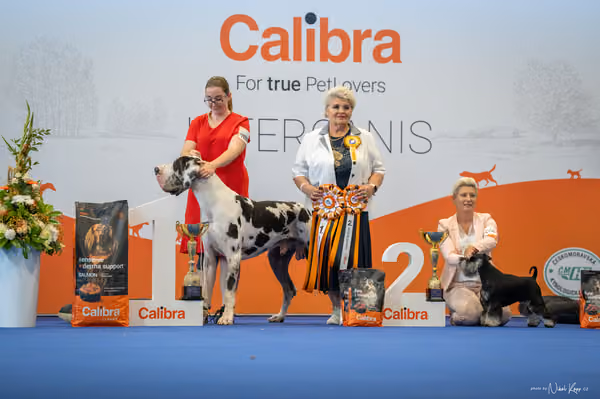 INTERCANIS Brno – FCI 2