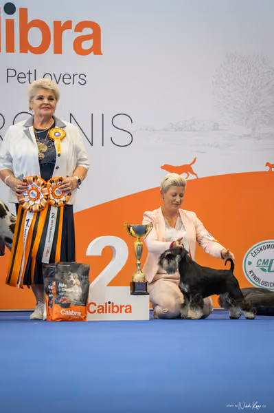 INTERCANIS Brno – FCI 2